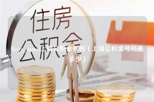 湛江上海公积金号码（上海公积金号码是多少）